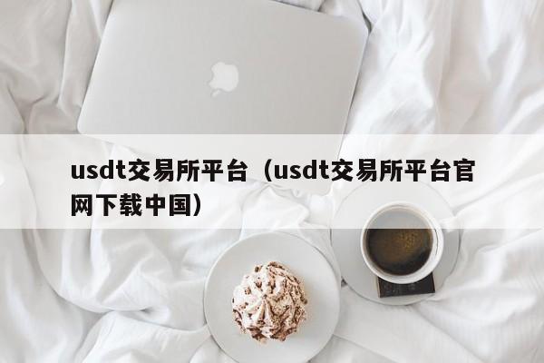 usdt交易所平台（usdt交易所平台官网下载中国）