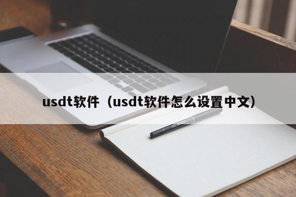 usdt软件（usdt软件怎么设置中文）