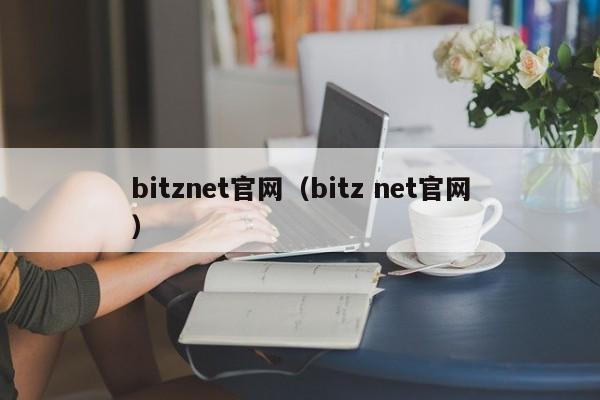bitznet官网（bitz net官网）